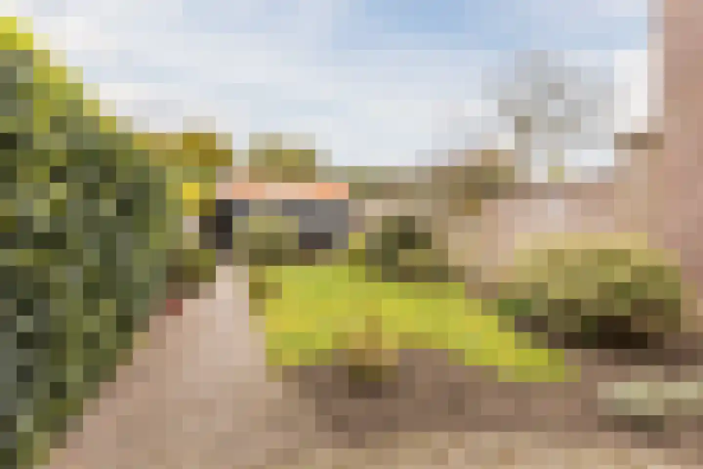 Piet Heinstraat 10 Bergen op Zoom thumbnail 39