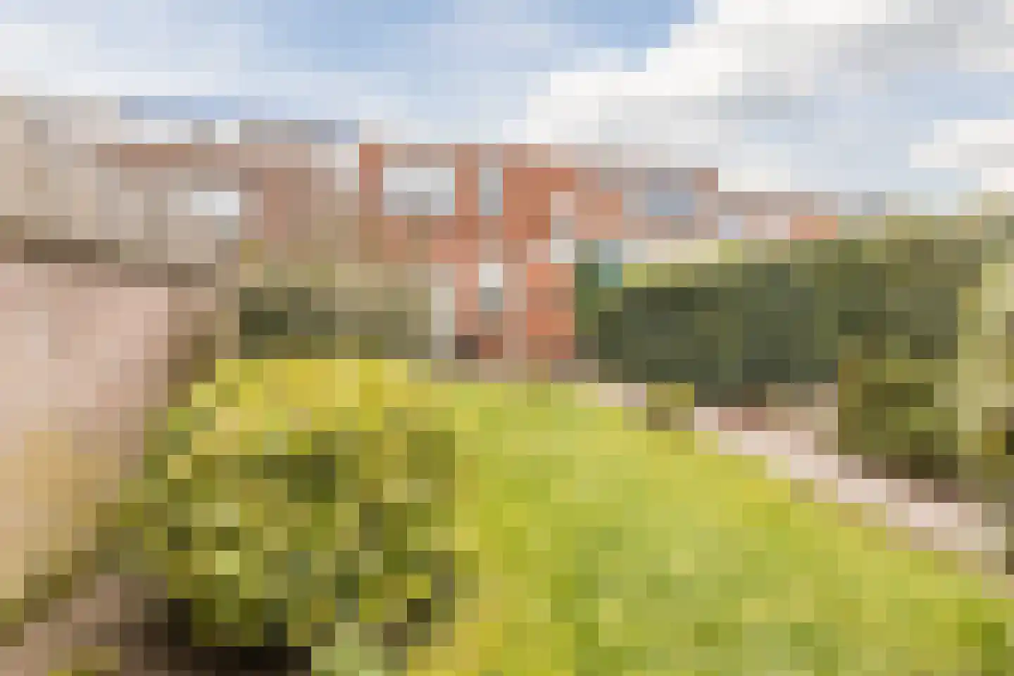 Piet Heinstraat 10 Bergen op Zoom thumbnail 44