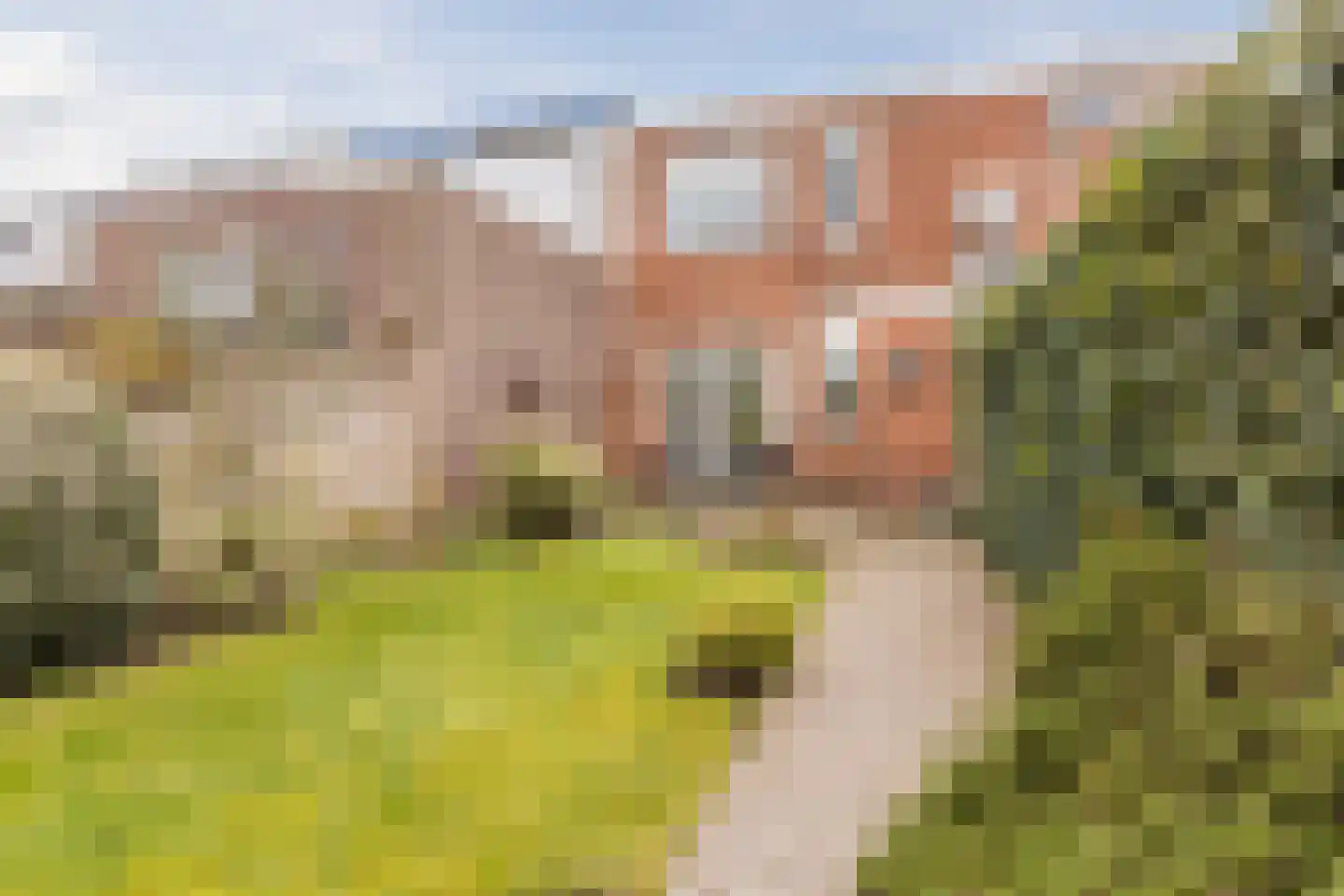 Piet Heinstraat 10 Bergen op Zoom thumbnail 5