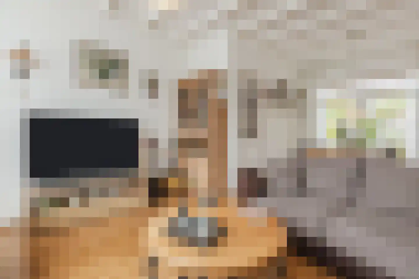 Piet Heinstraat 10 Bergen op Zoom thumbnail 8