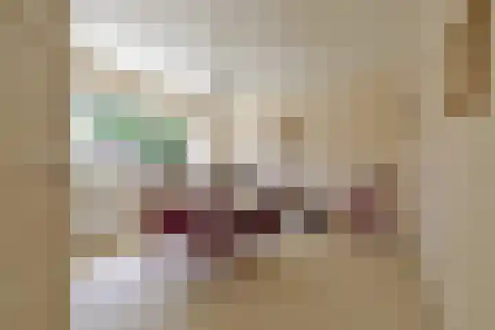 Piet Heinstraat 10 Huizen thumbnail 10