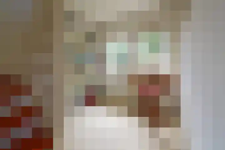 Piet Heinstraat 10 Huizen thumbnail 11