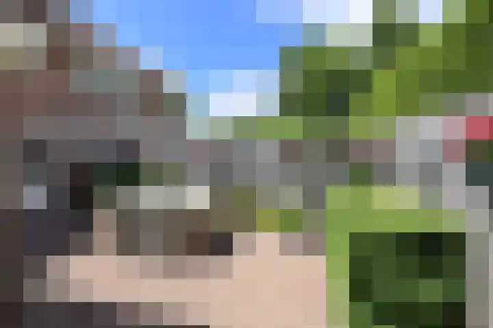 Piet Heinstraat 10 Huizen thumbnail 14