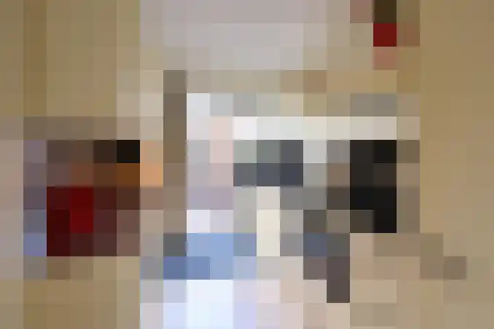 Piet Heinstraat 10 Huizen thumbnail 6