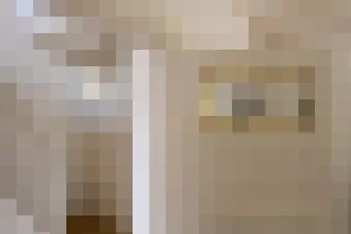 Piet Heinstraat 10 Huizen thumbnail 7