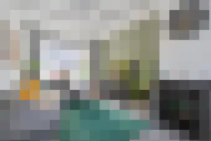 Piet Heinstraat 10 Meppel thumbnail 11