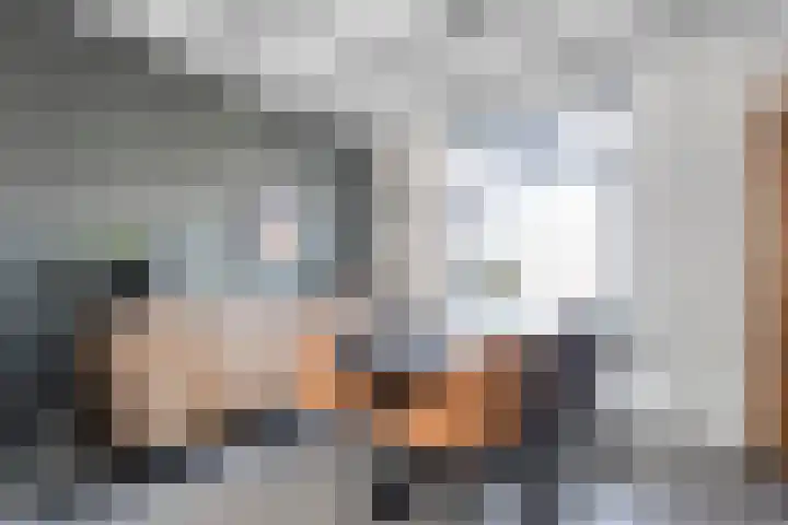 Piet Heinstraat 10 Meppel thumbnail 14