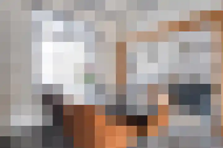 Piet Heinstraat 10 Meppel thumbnail 15