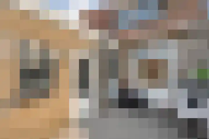 Piet Heinstraat 10 Meppel thumbnail 30