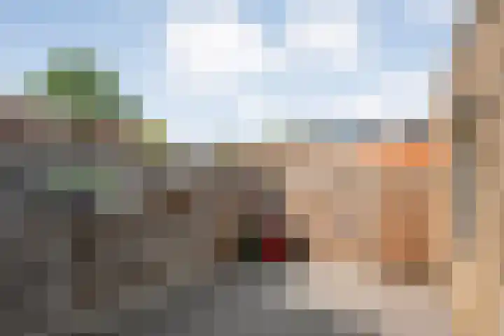 Piet Heinstraat 10 Meppel thumbnail 31