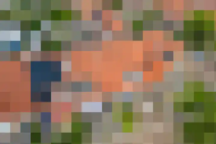 Piet Heinstraat 10 Meppel thumbnail 33