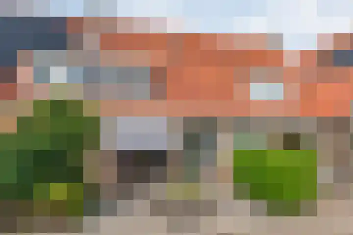 Piet Heinstraat 10 Meppel thumbnail 42