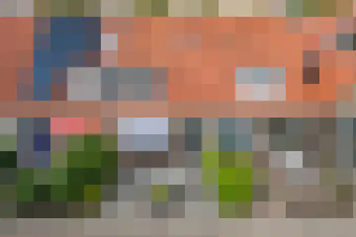 Piet Heinstraat 10 Meppel thumbnail 5