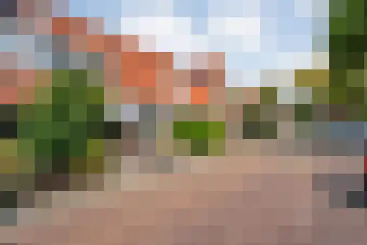 Piet Heinstraat 10 Meppel thumbnail 6
