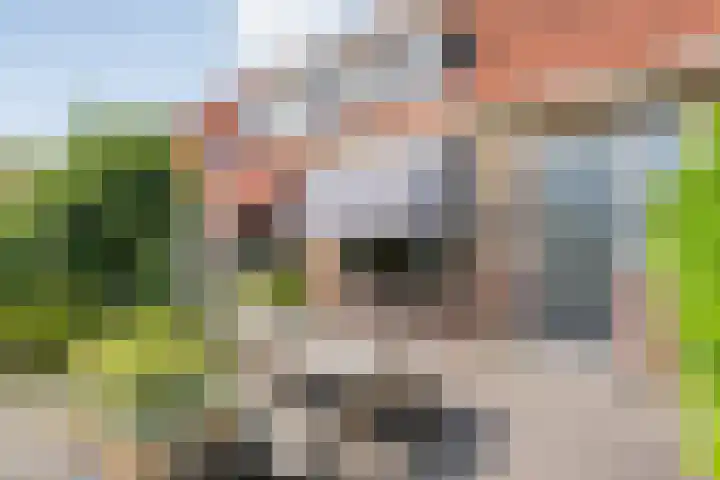 Piet Heinstraat 10 Meppel thumbnail 7