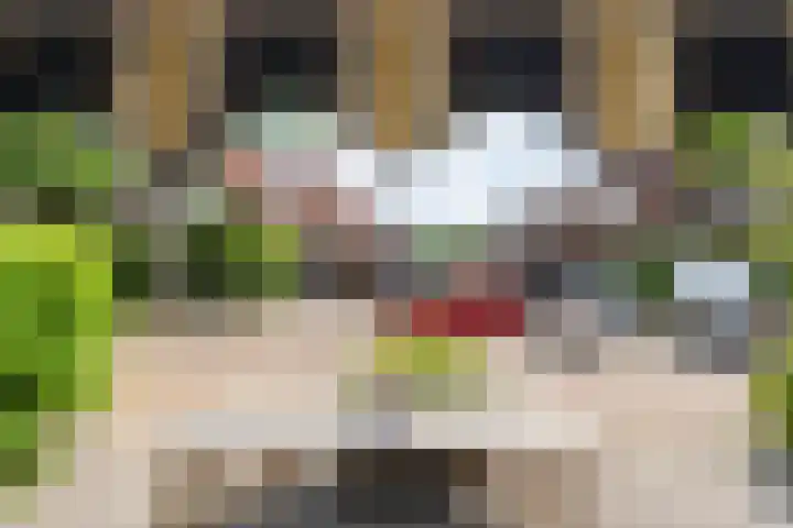 Piet Heinstraat 10 Meppel thumbnail 8