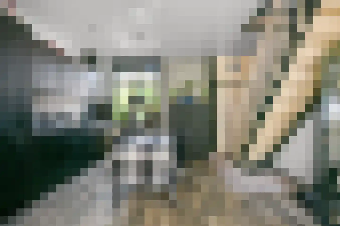 Piet Heinstraat 10 Wormerveer thumbnail 11