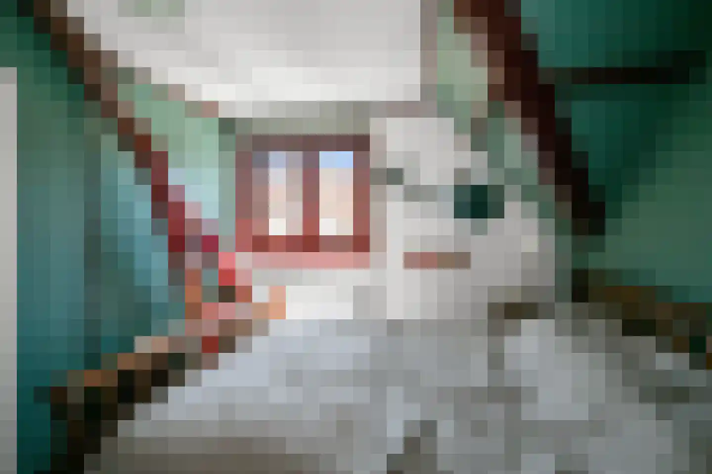 Piet Heinstraat 10 Wormerveer thumbnail 16