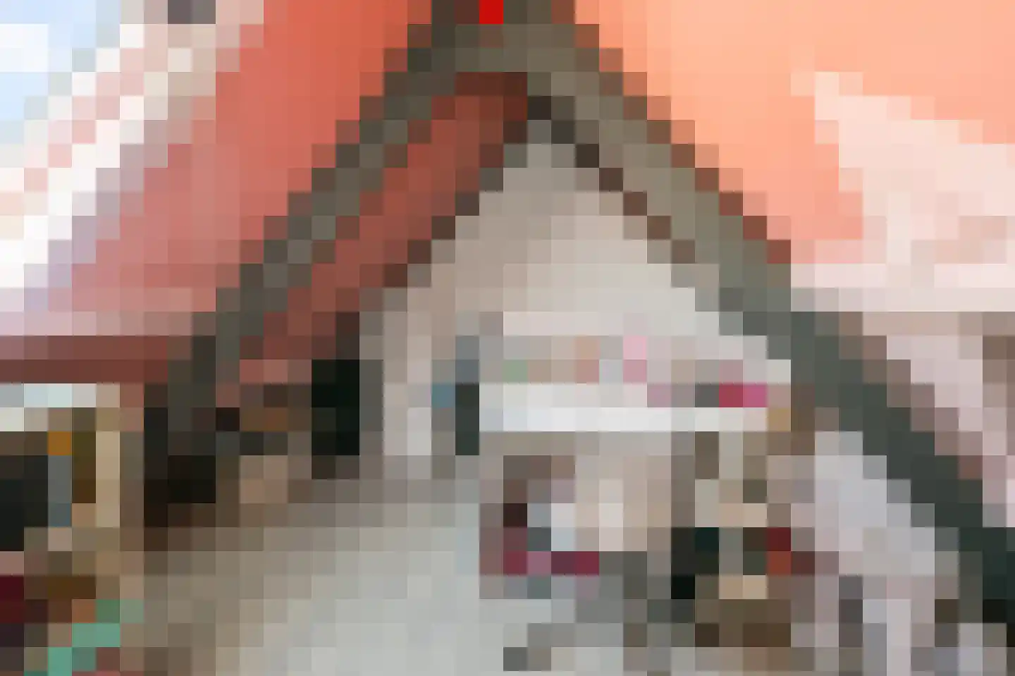 Piet Heinstraat 10 Wormerveer thumbnail 28