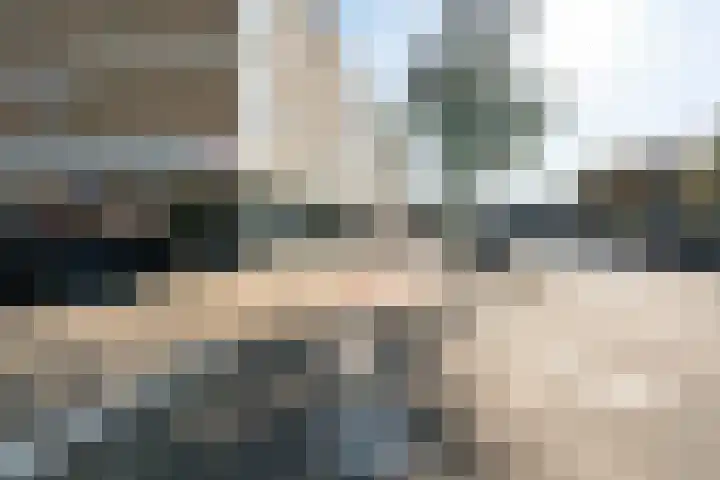 Piet Heinstraat 10 Zoetermeer thumbnail 10