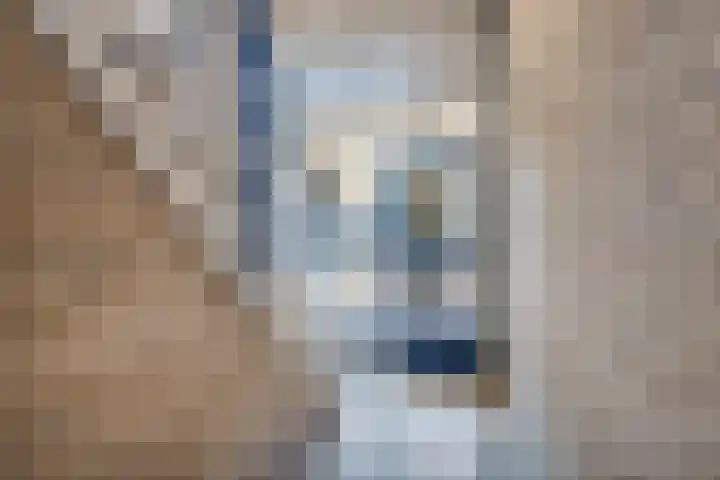 Piet Heinstraat 10 Zoetermeer thumbnail 12