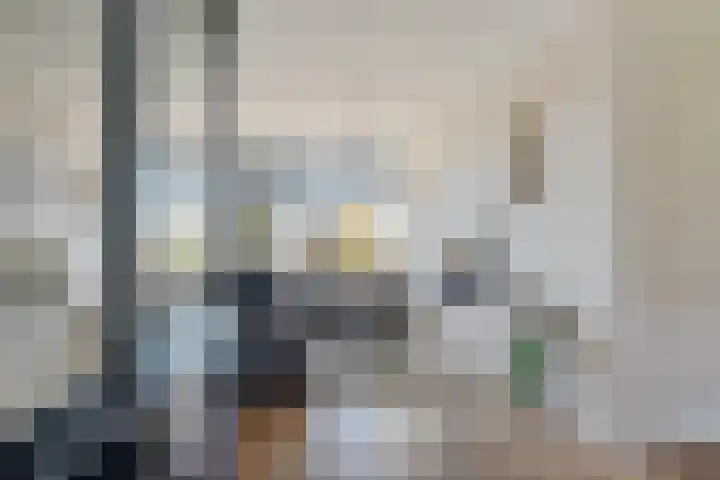 Piet Heinstraat 10 Zoetermeer thumbnail 18