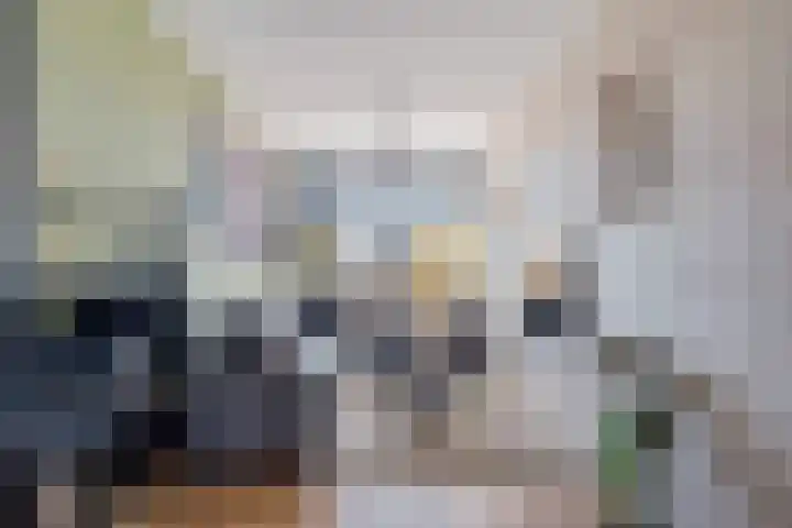 Piet Heinstraat 10 Zoetermeer thumbnail 19