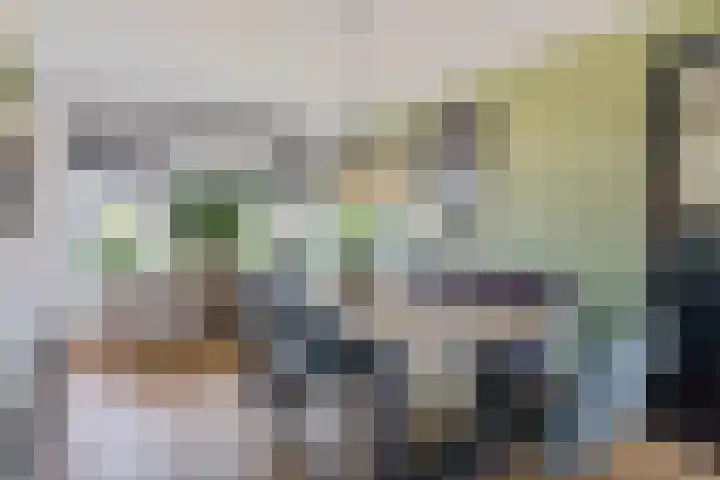 Piet Heinstraat 10 Zoetermeer thumbnail 23