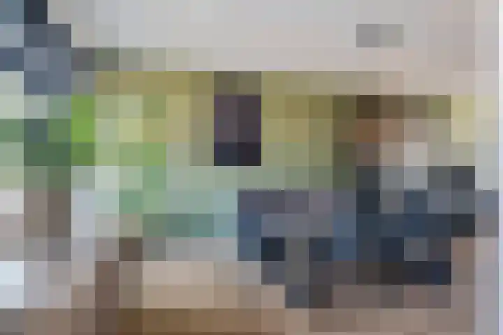 Piet Heinstraat 10 Zoetermeer thumbnail 24