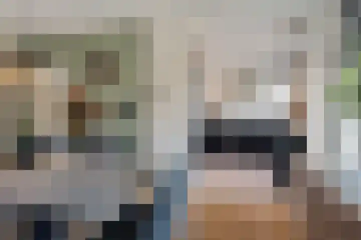 Piet Heinstraat 10 Zoetermeer thumbnail 27