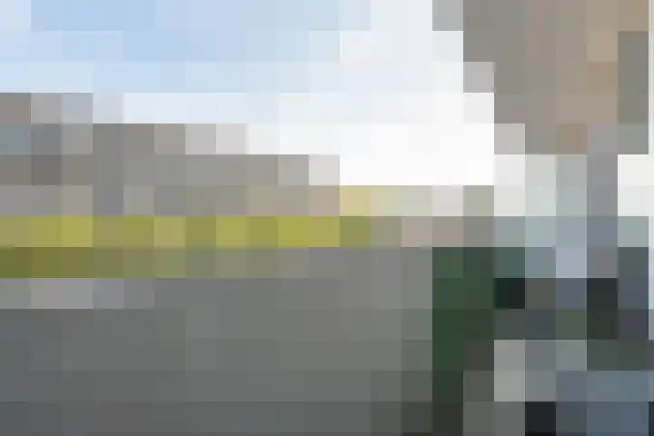 Piet Heinstraat 10 Zoetermeer thumbnail 32