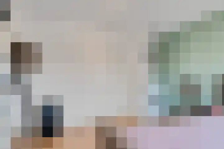 Piet Heinstraat 10 Zoetermeer thumbnail 37