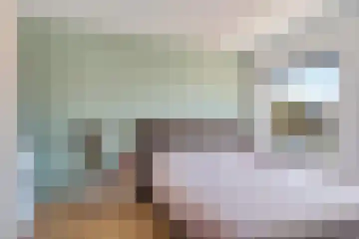 Piet Heinstraat 10 Zoetermeer thumbnail 38