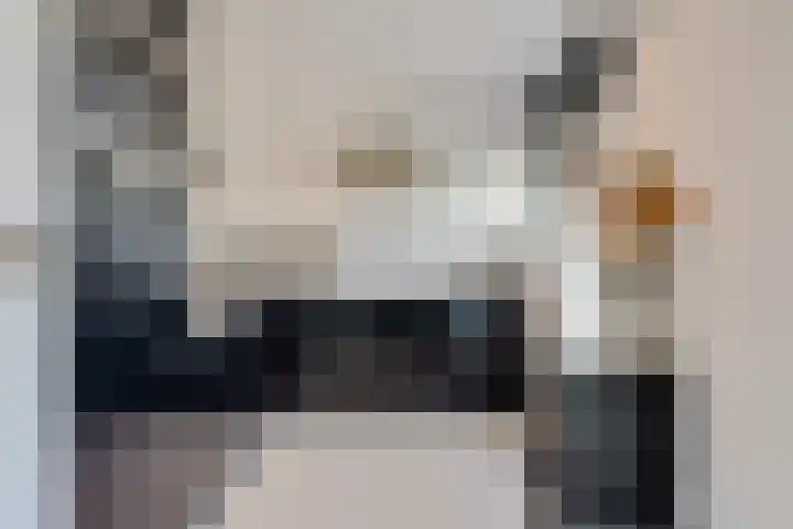 Piet Heinstraat 10 Zoetermeer thumbnail 4
