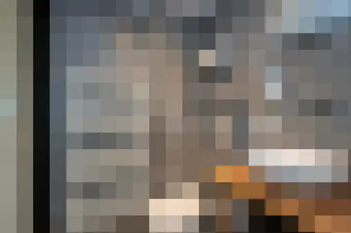 Piet Heinstraat 100 Maarssen thumbnail 11