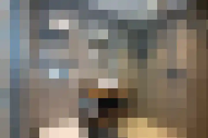 Piet Heinstraat 100 Maarssen thumbnail 12