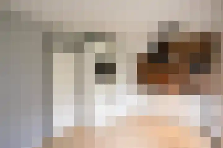 Piet Heinstraat 100 Maarssen thumbnail 13