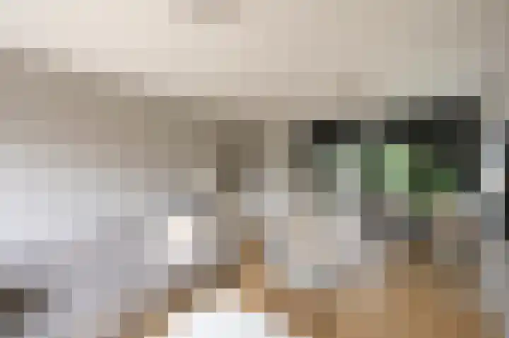 Piet Heinstraat 100 Maarssen thumbnail 19