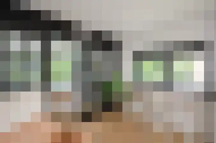 Piet Heinstraat 100 Maarssen thumbnail 20