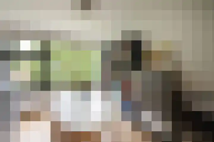 Piet Heinstraat 100 Maarssen thumbnail 21