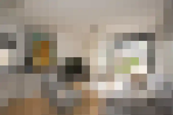Piet Heinstraat 100 Maarssen thumbnail 23