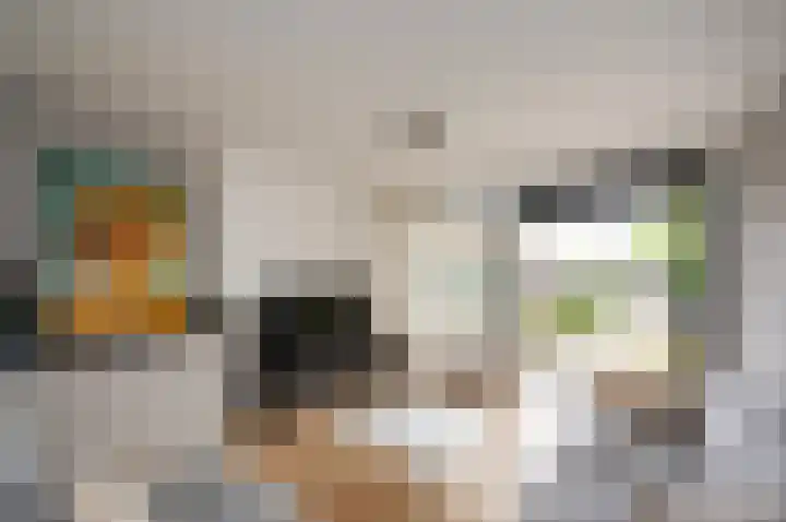 Piet Heinstraat 100 Maarssen thumbnail 24