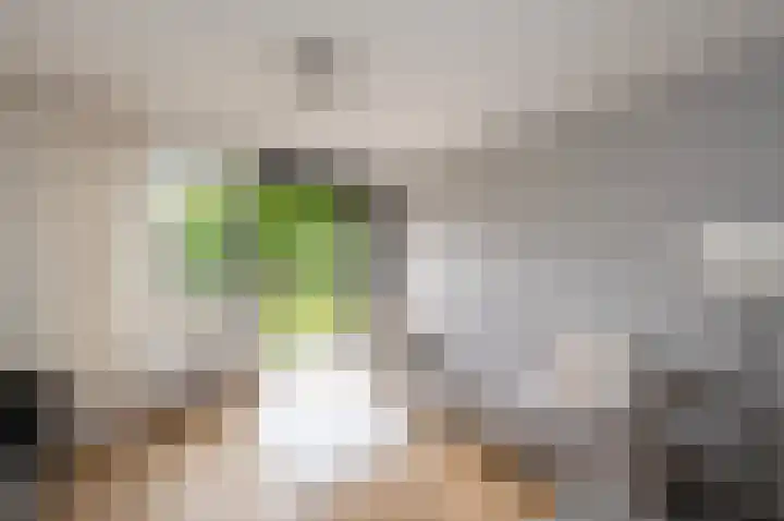 Piet Heinstraat 100 Maarssen thumbnail 25