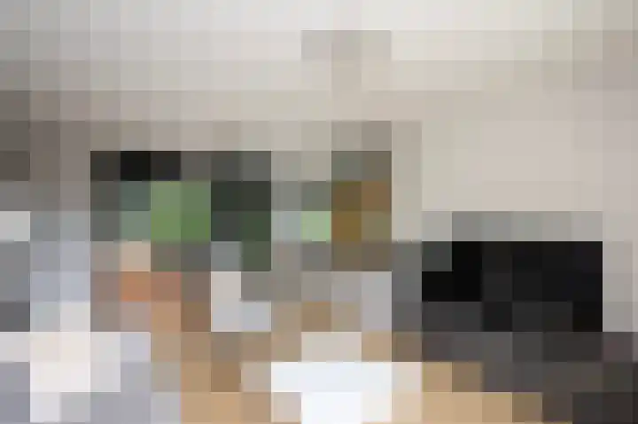Piet Heinstraat 100 Maarssen thumbnail 28