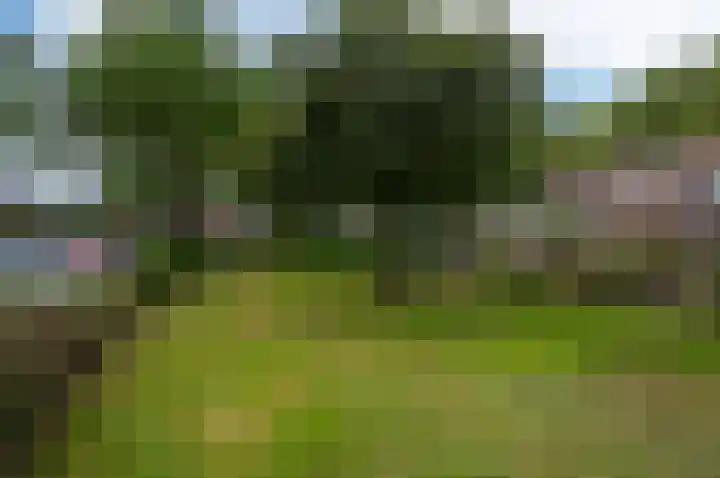 Piet Heinstraat 100 Maarssen thumbnail 31
