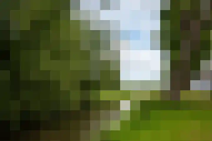 Piet Heinstraat 100 Maarssen thumbnail 33