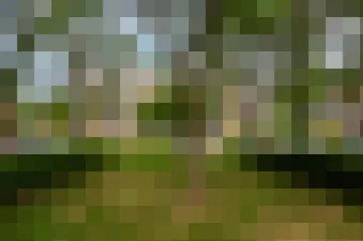 Piet Heinstraat 100 Maarssen thumbnail 6