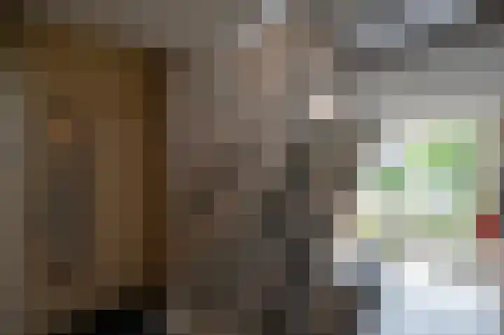 Piet Heinstraat 100 Maarssen thumbnail 9