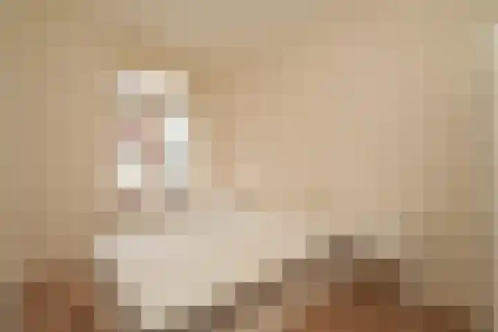 Piet Heinstraat 101 A Den Haag thumbnail 13