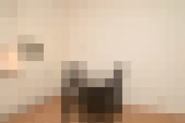 Piet Heinstraat 101 A Den Haag thumbnail 4